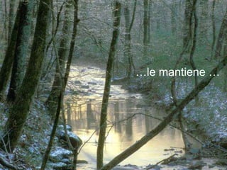 …le mantiene …
 