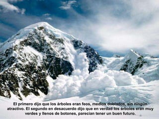 El primero dijo que los árboles eran feos, medios doblados, sin ningún
atractivo. El segundo en desacuerdo dijo que en verdad los árboles eran muy
          verdes y llenos de botones, parecían tener un buen futuro.
 