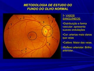 METODOLOGIA DDEE EESSTTUUDDOO DDOO 
FFUUNNDDOO DDOO OOLLHHOO NNOORRMMAALL 
1 
2 
3 
3 
3 
3 
3 
3 
3 
33-- VVAASSOOSS 
SSAANNGGUUÍÍNNEEOOSS:: 
•DDiissttrriibbuuiiççããoo ee ffoorrmmaa 
vvaassccuullaarr:: aapprreesseennttaa 
ssuuaavveess oonndduullaaççõõeess 
•CCoorr:: aarrtteerriiaass mmaaiiss ccllaarraass 
qquuee vveeiiaass 
•CCaalliibbrree:: MMaaiioorr ddaass vveeiiaass.. 
•RReefflleexxoo aarrtteerriioollaarr:: BBrriillhhoo 
aarrtteerriioollaarr.. 
 
