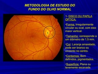 METODOLOGIA DDEE EESSTTUUDDOO DDOO 
FFUUNNDDOO DDOO OOLLHHOO NNOORRMMAALL 
1 
11-- DDIISSCCOO OOUU PPAAPPIILLAA 
ÓÓPPTTIICCAA:: 
•Forma: Irregularmente 
circular ou oval, com eixo 
maior vertical. 
•Tamanho: corresponde a 
um diâmetro de 1.5 mm. 
•Cor: Laranja amarelado, 
pode ser branco ou 
cinzento no centro. 
•Contornos: Bem 
definidos, pigmentados. 
•Superfície: Plana ou 
levemente escavada. 
 