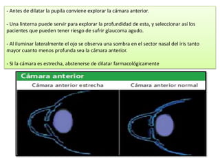 - Antes de dilatar la pupila conviene explorar la cámara anterior. 
- Una linterna puede servir para explorar la profundidad de esta, y seleccionar así los 
pacientes que pueden tener riesgo de sufrir glaucoma agudo. 
- Al iluminar lateralmente el ojo se observa una sombra en el sector nasal del iris tanto 
mayor cuanto menos profunda sea la cámara anterior. 
- Si la cámara es estrecha, abstenerse de dilatar farmacológicamente 
 