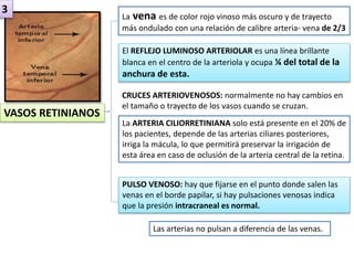 VASOS RETINIANOS 
La vena es de color rojo vinoso más oscuro y de trayecto 
más ondulado con una relación de calibre arteria- vena de 2/3 
El REFLEJO LUMINOSO ARTERIOLAR es una línea brillante 
blanca en el centro de la arteriola y ocupa ¼ del total de la 
anchura de esta. 
CRUCES ARTERIOVENOSOS: normalmente no hay cambios en 
el tamaño o trayecto de los vasos cuando se cruzan. 
La ARTERIA CILIORRETINIANA solo está presente en el 20% de 
los pacientes, depende de las arterias ciliares posteriores, 
irriga la mácula, lo que permitirá preservar la irrigación de 
esta área en caso de oclusión de la arteria central de la retina. 
PULSO VENOSO: hay que fijarse en el punto donde salen las 
venas en el borde papilar, si hay pulsaciones venosas indica 
que la presión intracraneal es normal. 
Las arterias no pulsan a diferencia de las venas. 
3 
 