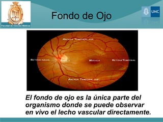 Fondo de Ojo




El fondo de ojo es la única parte del
organismo donde se puede observar
en vivo el lecho vascular directamente.
 