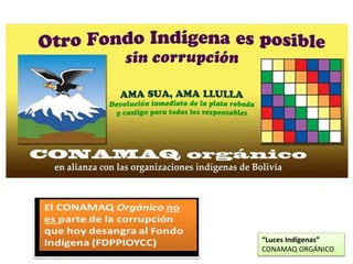 “Luces Indígenas”
CONAMAQ ORGÁNICO
 