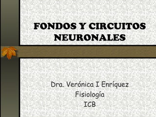 FONDOS Y CIRCUITOS NEURONALES Dra. Verónica I Enríquez Fisiología ICB 