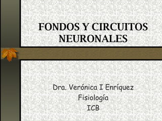 FONDOS Y CIRCUITOS NEURONALES Dra. Verónica I Enríquez Fisiología ICB 