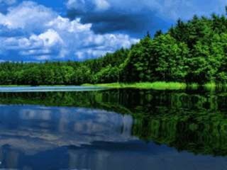  POWER POINT 2003
 No se diferenció mucho con respecto a la
versión 2002/XP. Mejora la colaboración
entre presentadores y ahora contiene la
opción empacar para CD, que facilita el
grabar presentaciones con contenido
multimedia y que agrega el visor en CD-
ROM para su distribución.
 