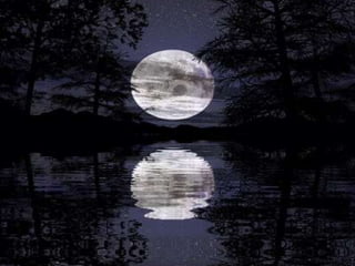 primeros esfuersos de estos dos
productores fueron poco
recompensados.
 