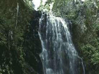 Power Point 3.0
Obtiene la adición de 24 formas
comúnmente utilizadas; nuevas
herramientas de dibujo a mano
alzada, la habilidad de rotar
objetos y la de copiar las
características de un objeto se
hicieron disponibles.
 