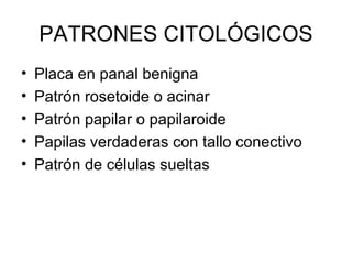 PATRONES CITOLÓGICOS Placa en panal benigna Patrón rosetoide o acinar Patrón papilar o papilaroide Papilas verdaderas con tallo conectivo Patrón de células sueltas 