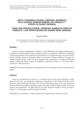 A. Arribas (Ed.), Vertebrados del Plioceno superior terminal en el suroeste de Europa: Fonelas P-1 y el Proyecto Fonelas.
Cuadernos del Museo Geominero, nº 10. Instituto Geológico y Minero de España, Madrid, 2008, 231-249. ISBN 978-84-7840-764-4
© Instituto Geológico y Minero de España
231
LINCES Y GUEPARDOS (FELIDAE, CARNIVORA, MAMMALIA)
EN EL PLIOCENO SUPERIOR TERMINAL DEL FONELAS P-1
(CUENCA DE GUADIX, GRANADA)
LYNXES AND CHEETAHS (FELIDAE, CARNIVORA, MAMMALIA) FROM THE
FONELAS P-1 LATE UPPER PLIOCENE SITE (GUADIX BASIN, GRANADA)
Guiomar Garrido
Área de Investigación en Patrimonio Geológico, Departamento de Investigación en Recursos Geológicos.
Instituto Geológico y Minero de España. Ríos Rosas, 23. 28003 Madrid. g.garrido@igme.es
RESUMEN
Los felinos aparecen representados en Fonelas P-1 (zona MNQ18) por dos especies pertenecientes a
dos géneros con representantes actuales. El primero de ellos, Lynx issiodorensis valdarnensis, corresponde
a una forma derivada de menor tamaño que el taxón nominal, la cual podría dar lugar a los primeros linces
ibéricos conocidos durante el Pleistoceno inferior. Por otra parte, Acinonyx pardinensis constituye una
variedad ancestral de gran tamaño del actual guepardo, bien representada en el registro del Plioceno
superior y Pleistoceno inferior europeo, constituyendo el registro de Fonelas P-1 la cita más moderna
conocida en la Península Ibérica.
PALABRAS CLAVE: Lynx issiodorensis, Acinonyx pardinensis, Plioceno superior terminal, Cuenca de Guadix,
España.
ABSTRACT
Felines are represented at the Fonelas P-1 site (MNQ18 zone) by two species belonging to extent
genera. The first one, Lynx issiodorensis valdarnensis, corresponds to a form derived from the nominal
taxon; this smaller animal may have given rise to the first known Iberian lynxes of the Lower Pleistocene.
The fossil of Acinonyx pardinensis represents a large-sized ancestral variety of today’s cheetah.This ancient
species is well represented in the Upper Pliocene and Lower Pleistocene records of Europe; the fossil at
Fonelas P-1 is the youngest record for the Iberian Peninsula.
KEYWORDS: Lynx issiodorensis, Acinonyx pardinensis, late Upper Pliocene, Guadix Basin, Spain.
 