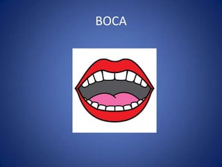 BOCA
 