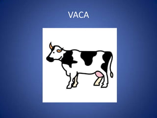 VACA
 