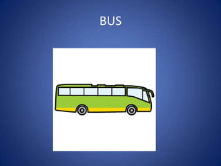 BUS
 