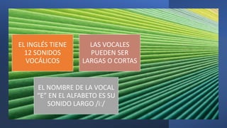 EL INGLÉS TIENE
12 SONIDOS
VOCÁLICOS
LAS VOCALES
PUEDEN SER
LARGAS O CORTAS
EL NOMBRE DE LA VOCAL
“E” EN EL ALFABETO ES SU...