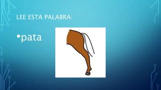 LEE ESTA PALABRA:
•pata
 