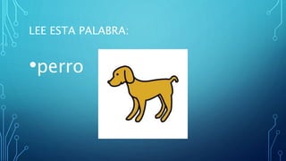 LEE ESTA PALABRA:
•perro
 