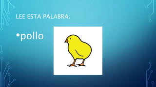LEE ESTA PALABRA:
•pollo
 