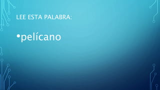 LEE ESTA PALABRA:
•pelícano
 