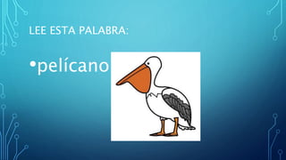 LEE ESTA PALABRA:
•pelícano
 