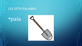 LEE ESTA PALABRA:
•pala
 