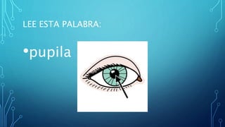 LEE ESTA PALABRA:
•pupila
 