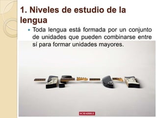 1. Niveles de estudio de la
lengua


Toda lengua está formada por un conjunto
de unidades que pueden combinarse entre
sí para formar unidades mayores.

 