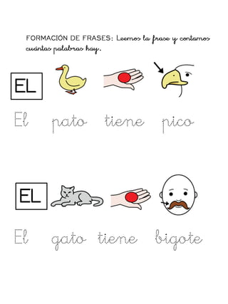 EL
EL
El pato tiene pico
El gato tiene bigote