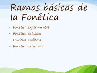 Ramas básicas de
la Fonética
• Fonética experimental

• Fonética acústica
• Fonética auditiva
• Fonetica articulada

 