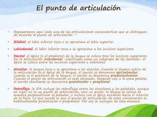 El punto de articulación

•

Repasaremos aquí cada una de las articulaciones consonánticas que se distinguen
de acuerdo al punto de articulación: 6

•

Bilabial: el labio inferior toca o se aproxima al labio superior.

•

Labiodental: el labio inferior toca o se aproxima a los incisivos superiores.

•

Dental: el ápice (o el predorso) de la lengua se coloca tras los incisivos superiores.
En la articulación interdental -clasificada como un subgrupo de las dentales- el
ápice se coloca entre los incisivos superiores e inferiores.

•

Alveolar: la lengua toca o se aproxima a los alveolos. Cuando el órgano activo de
la articulación es el ápice de la lengua, el sonido se denomina apicoalveolar;
cuando es el predorso de la lengua, el sonido se denomina predorsoalveolar.
Cuando el punto de articulación es más atrasado, llegando casi a la zona palatal,
el sonido resultante se denomina postalveolar o prepalatal.

•

Retrofleja: la IPA incluye las retroflejas entre las alveolares y las palatales, aunque
en rigor no es un punto de articulación, sino un modo: la lengua se coloca de
manera perpendicular al paladar, o incluso con el ápice mirando hacia el interior
de la boca. Lo que sucede es que el punto de articulación de estas consonantes es
habitualmente postalveolar o prepalatal. Por eso se incluyen de esta manera.

 