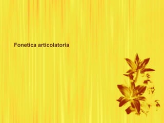 Fonetica articolatoria
 