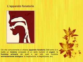 L’apparato fonatorio
Ciò che comunemente si chiama apparato fonatorio Dell‟uomo è in
realtà un insieme composto di un certo numero di organi, la
funzione primaria dei quali è, per tutti, una funzione
eminentemente biologica: la respirazione, la deglutizione, ecc.
 