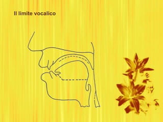 Il limite vocalico
 