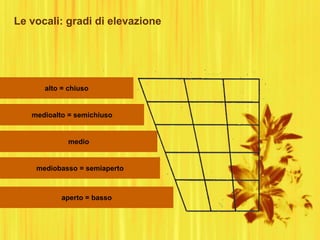 Le vocali: gradi di elevazione
alto = chiuso
medioalto = semichiuso
mediobasso = semiaperto
medio
aperto = basso
 