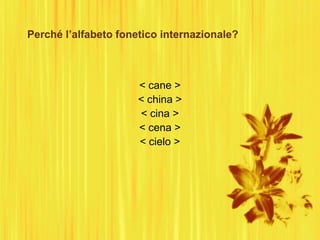 Perché l’alfabeto fonetico internazionale?
< cane >
< china >
< cina >
< cena >
< cielo >
 