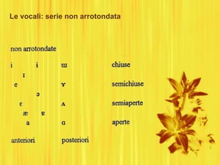 Le vocali: serie non arrotondata
 