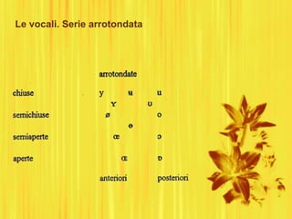 Le vocali. Serie arrotondata
 