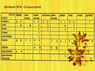 Simboli IPA: Consonanti
 