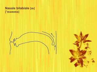 Nasale bilabiale [m]
['mamma]
 