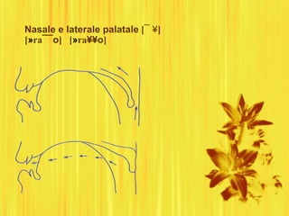 Nasale e laterale palatale [¯ ¥]
[»ra¯¯o] [»ra¥¥o]
 