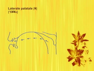 Laterale palatale [¥]
['fi¥¥o]
 