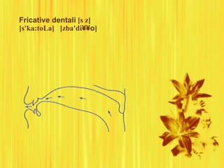 Fricative dentali [s z]
[s'ka:toLa] [zba'di¥¥o]
 