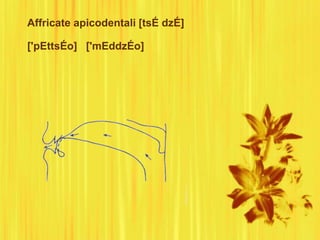 Affricate apicodentali [tsÉ dzÉ]
['pEttsÉo] ['mEddzÉo]
 