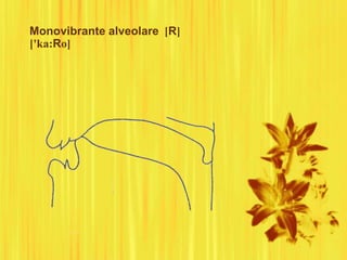 Monovibrante alveolare [R]
['ka:Ro]
 