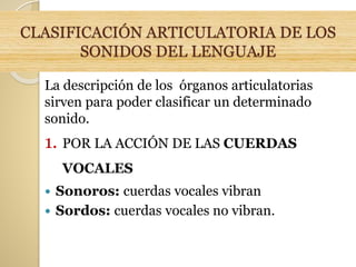 CLASIFICACIÓN ARTICULATORIA DE LOS
SONIDOS DEL LENGUAJE
La descripción de los órganos articulatorias
sirven para poder clasificar un determinado
sonido.
1. POR LA ACCIÓN DE LAS CUERDAS
VOCALES
 Sonoros: cuerdas vocales vibran
 Sordos: cuerdas vocales no vibran.
 