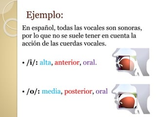 Ejemplo:
En español, todas las vocales son sonoras,
por lo que no se suele tener en cuenta la
acción de las cuerdas vocales.
• /i/: alta, anterior, oral.
• /o/: media, posterior, oral
 
