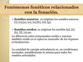 Fenómenos fonéticos relacionados
con la fonación.
 Sonidos sonoros: se originan los sonidos sonoros
[i], [e],[a], [o], [u],[b], [d], [g].
 Sonidos sordos: se originan los sonidos [p], [t],
[k], [f], [s],etc.
La diferencia entre consonantes sordas y sonoras
también reside en el esfuerzo muscular de los órganos
articulatorios.
La cantidad de energía articulatoria es, en condiciones
normales, sensiblemente la misma para todos los
sonidos articulados.
 