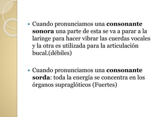  Cuando pronunciamos una consonante
sonora una parte de esta se va a parar a la
laringe para hacer vibrar las cuerdas vocales
y la otra es utilizada para la articulación
bucal.(débiles)
 Cuando pronunciamos una consonante
sorda: toda la energía se concentra en los
órganos supraglóticos (Fuertes)
 