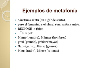  Sanctum>sentu (en lugar de santo),
 pero el femenino y el plural son: santa, santos.
 RENIONE > riñon
 PĬLU>pelo
 Mann (hombre), Männer (hombres)
 groß (grande), größer (mayor)
 Gans (ganso), Gänse (gansos)
 Maus (ratón), Mäuse (ratones)
Ejemplos de metafonía
 