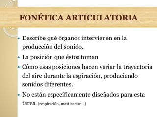 FONÉTICA ARTICULATORIA
 Describe qué órganos intervienen en la
producción del sonido.
 La posición que éstos toman
 Cómo esas posiciones hacen variar la trayectoria
del aire durante la espiración, produciendo
sonidos diferentes.
 No están específicamente diseñados para esta
tarea. (respiración, masticación…)
 